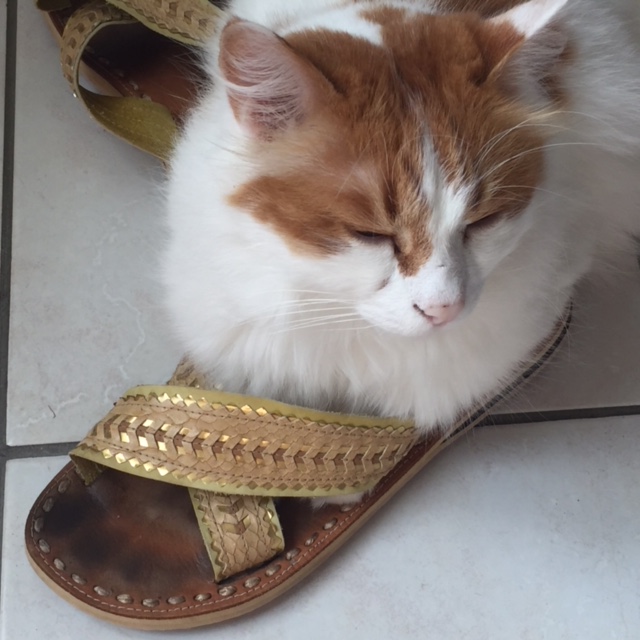 Aline Diépois globetrotting Corsica in Liwan sandals